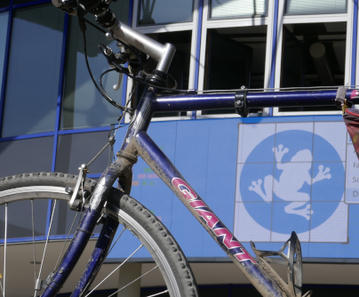 The front of a dirty purple bicycle. In the background, windows of a building which carries the FrOSCon logo.
